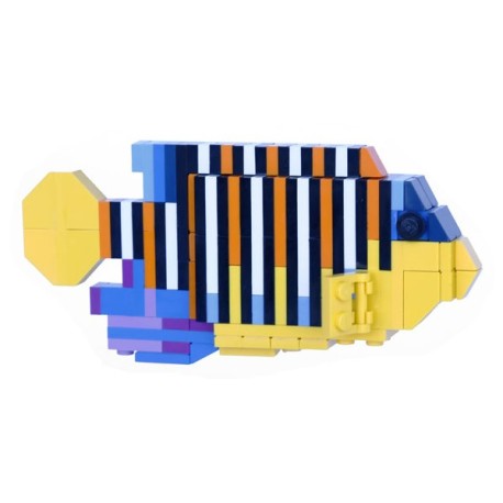 Lego - Regal Angelfish - Pygoplites diacanthus - Poisson Ange Duc