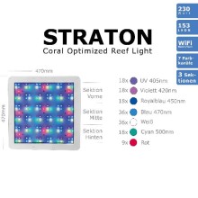 ATI - Straton