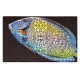 Flipper - Tapis d'aquarium Aquarium Mat TangFish Art